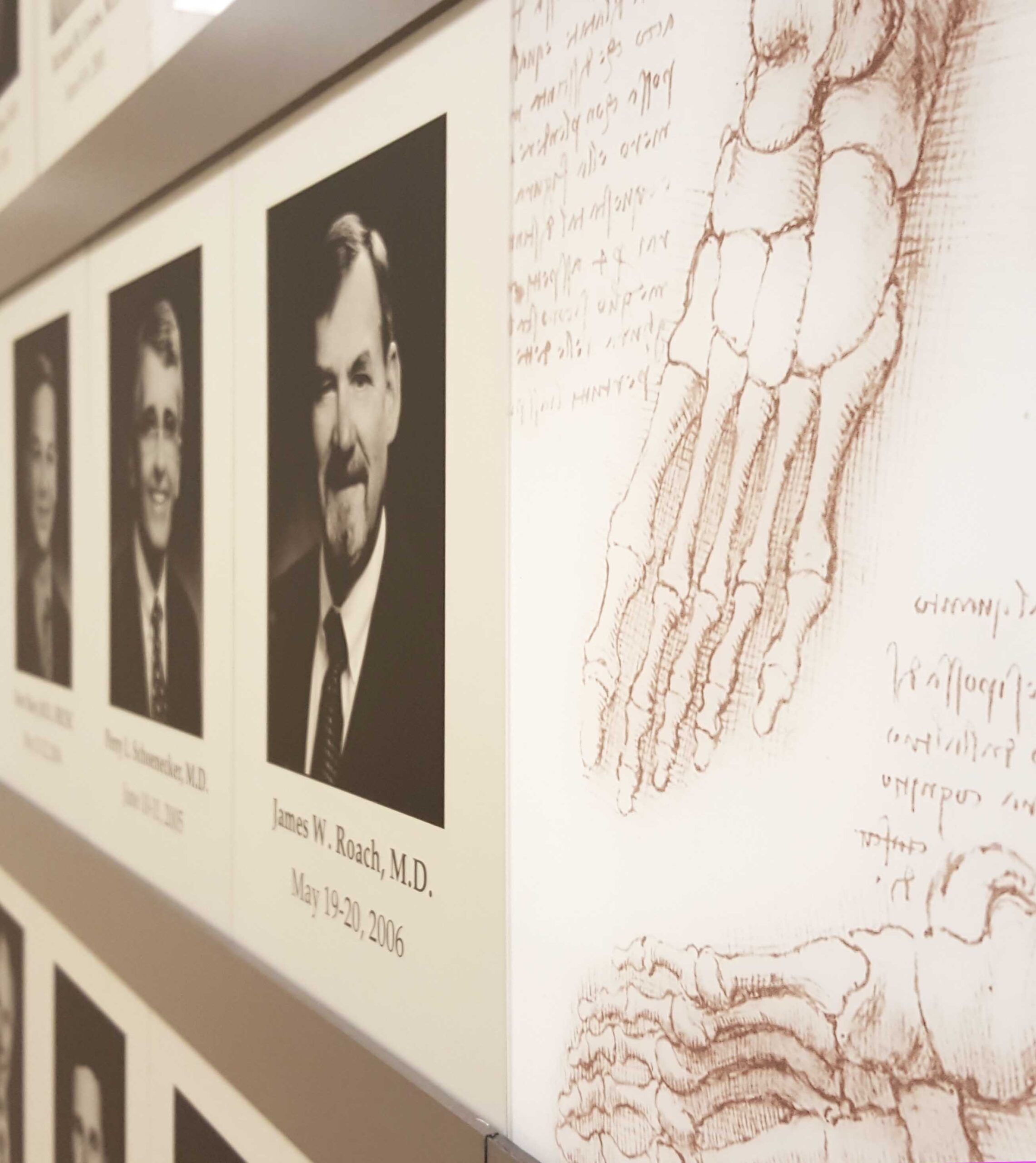 Texas Scottish Rite Orthopedics Honor Wall - focusEGD